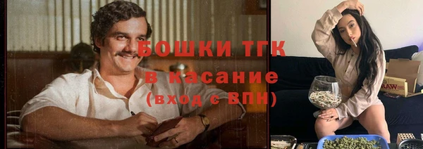 индика Зеленодольск