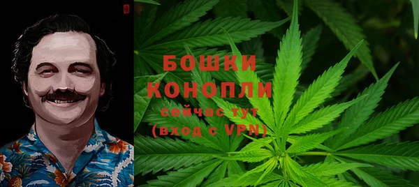 индика Зеленодольск