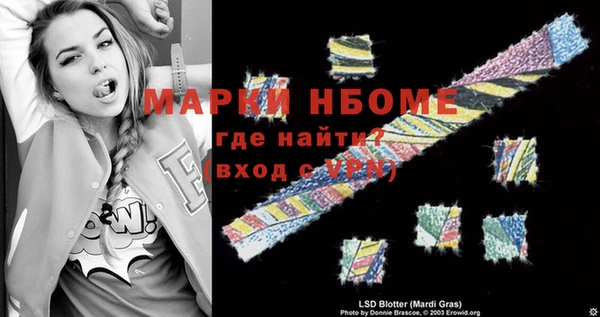 индика Зеленодольск