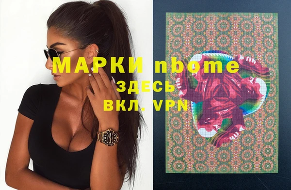 индика Зеленодольск