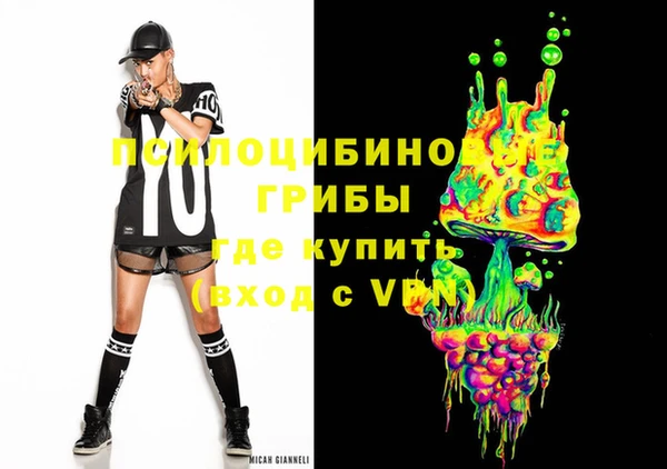 индика Зеленодольск