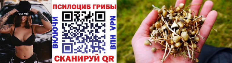 мориарти наркотические препараты  Инза  Галлюциногенные грибы мухоморы 